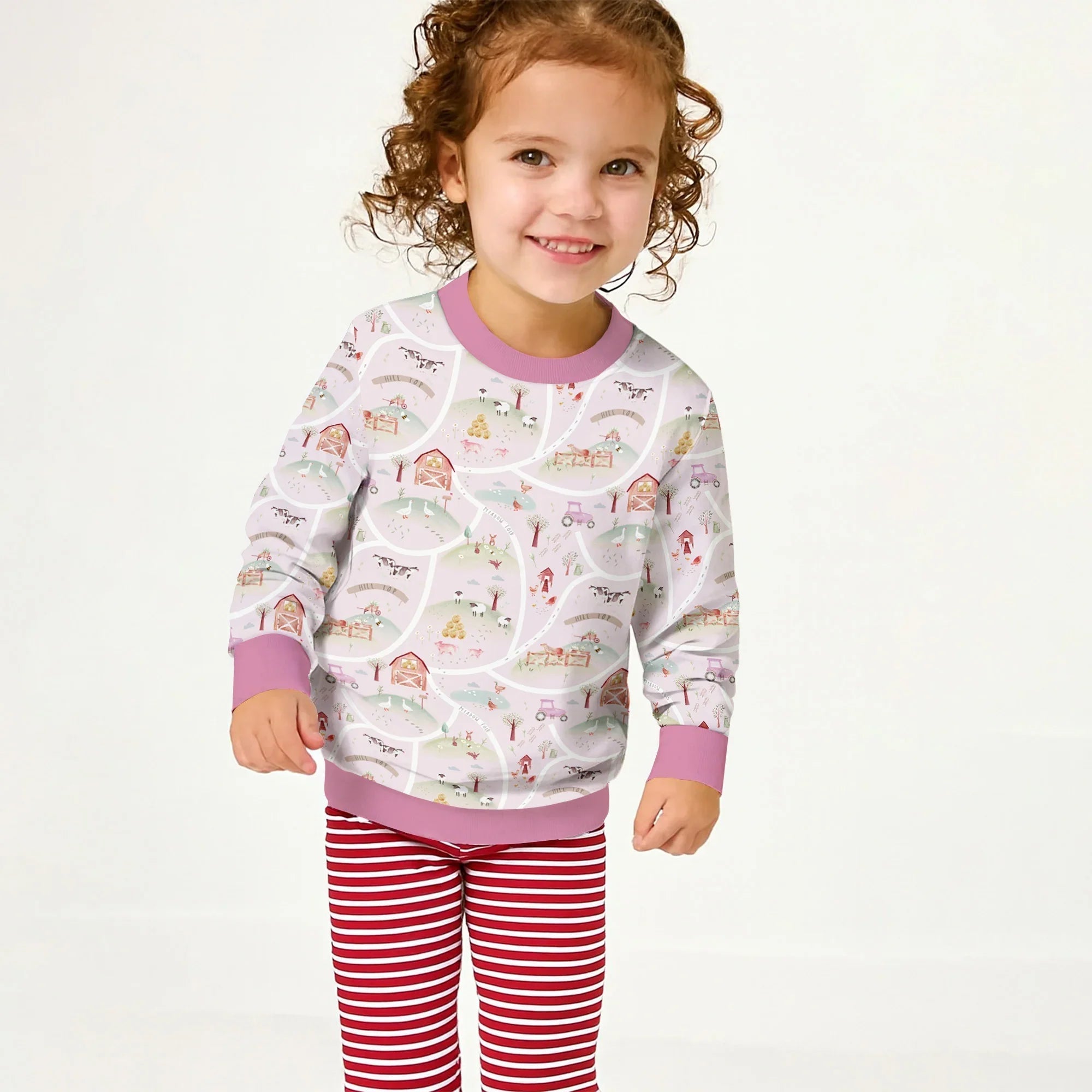 Farm Meadow Crewneck Sweatshirt - StazzyBaby